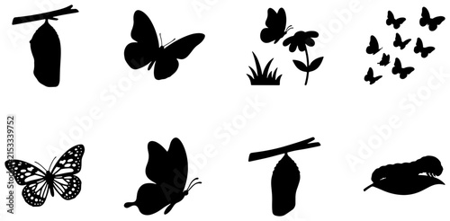 Butterfly Life Cycle Vector Icons: Chrysalis, Flying Insects, and Metamorphosis Stages, Nature Graphics Set