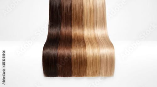 Assorted natural hair color extensions in a gradient on white