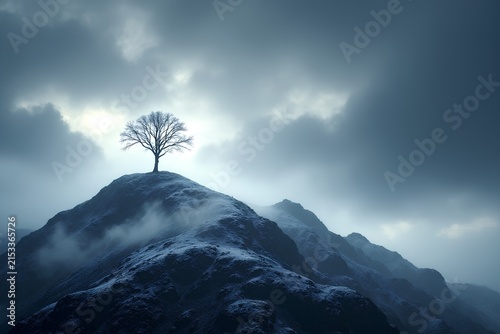 tree in the clouds