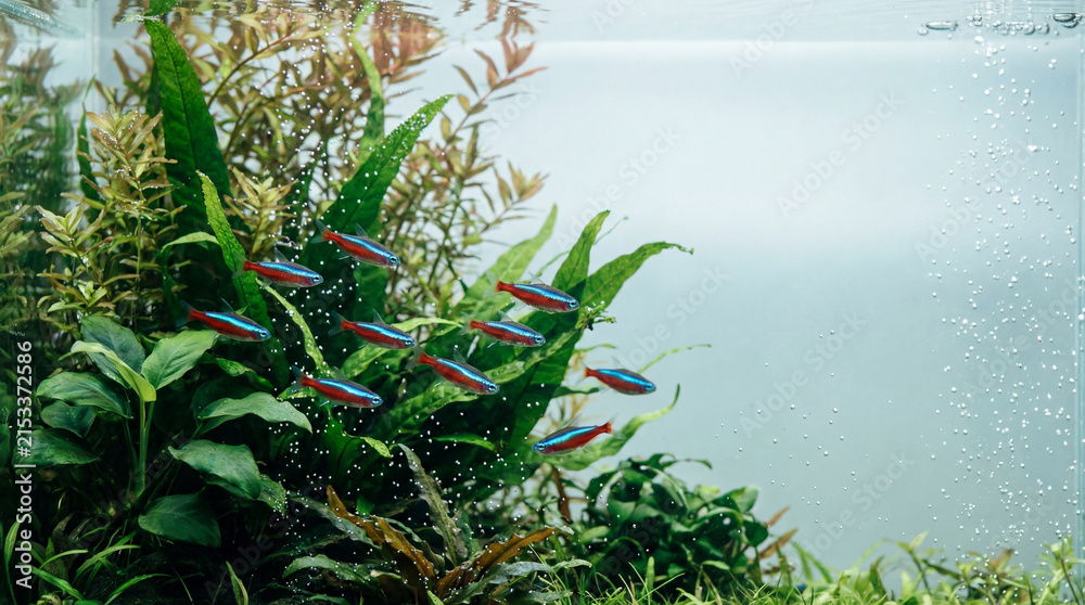 Obraz premium Fish swimming in ocean, immersive underwater wildlife scene showing animal welfare, responsible care, wellbeing, humane values, education, community awareness, supporting responsible care education