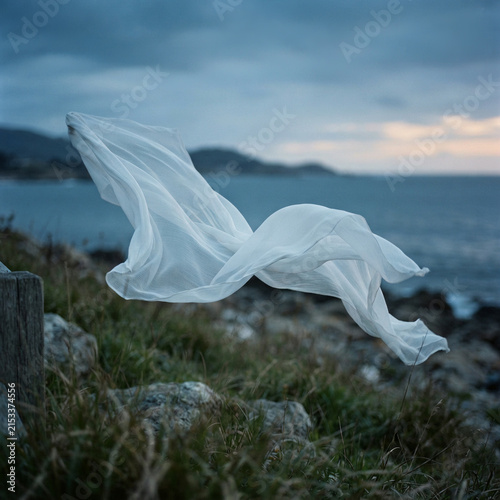 White fabric billowing above grassy rocks at an overcast coastal shoreline