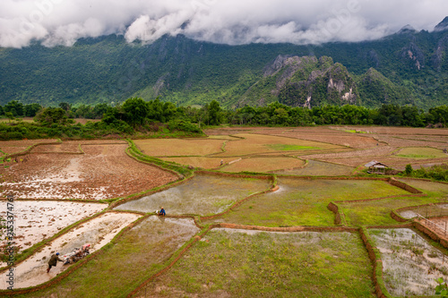 VANG VIENG, LAOS – Emerald rice fields stretch toward jagged karst mountains of Vang Vieng, where traditional agriculture occupies the valley floor between dramatic limestone formations.