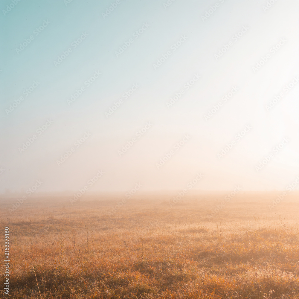Obraz premium Golden morning sunbeams breaking through thick autumn fog over rolling hills and golden birch trees