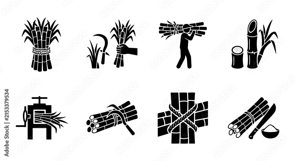 Fototapeta premium Sugarcane Harvest and Processing Icons, Agricultural Industry Vector Set