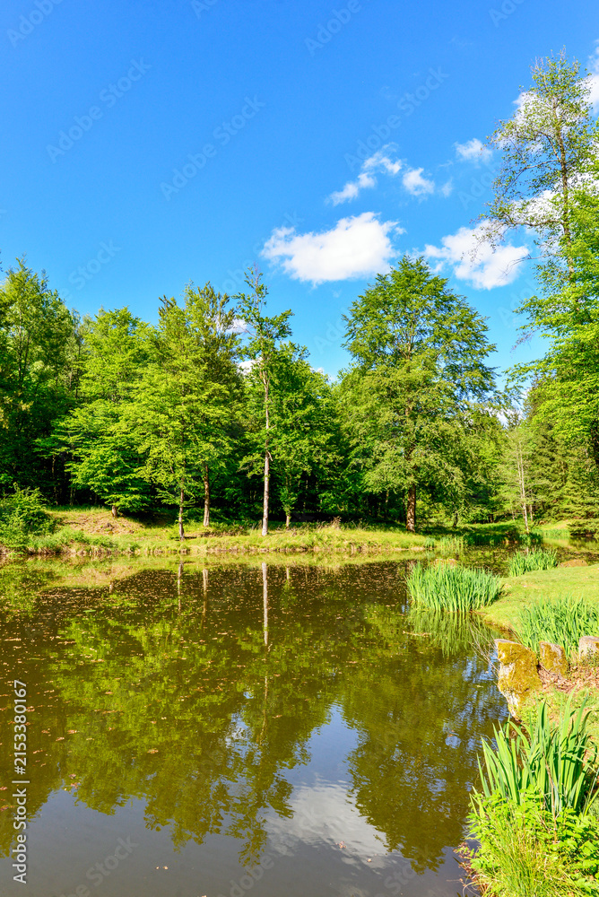 Fototapeta premium Der Haselweiher bei Gründau, Hessen 