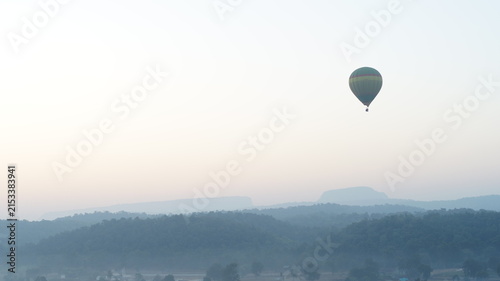 Hot Air Balloon safari in forest