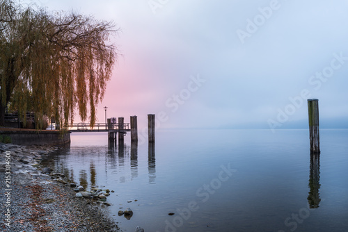 Misty lakeshore with wooden pier and willow tree on Lake Constance, Sipplingen, Germany