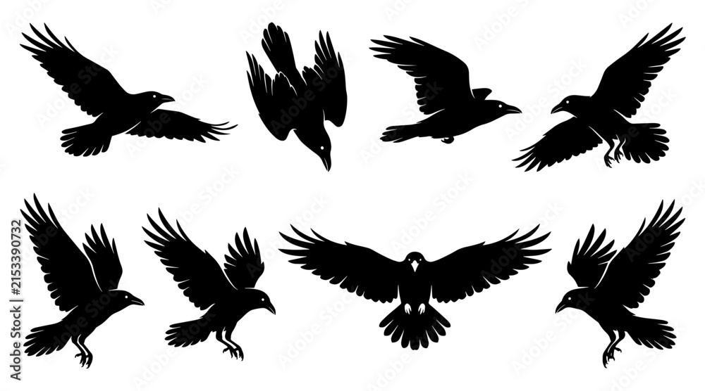 Fototapeta premium Raven silhouettes collection in flight. Black crow icons set for gothic design elements.