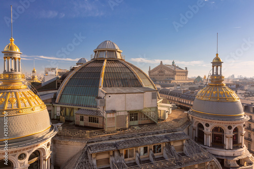 фотографія Elevated view of decorative domes and historic rooftops in central Paris, France, under a clear blue sky and warm daylight