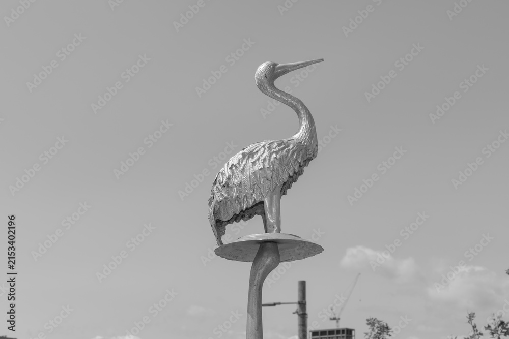 Fototapeta premium black and white view of