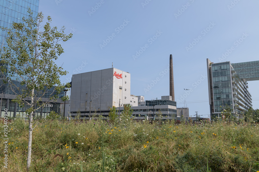 Fototapeta premium wide, distant view of Redpath Sugar Refinery located at 95 Queens Quay E (seen from 50 Queens Quay East Park), Toronto