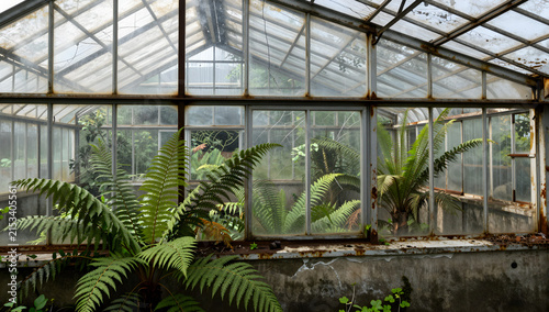 Abandoned overgrown greenhouse with ferns and rusted iron frames