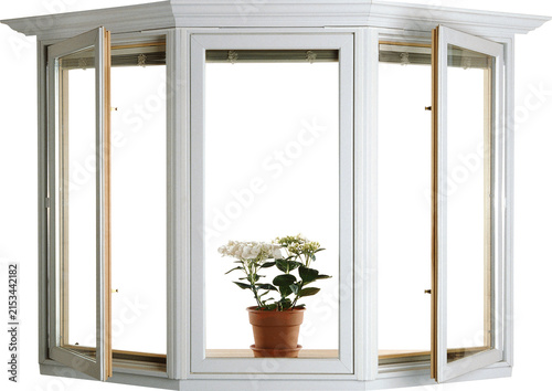 window with flowers
