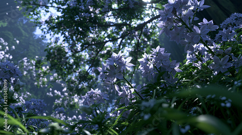 Lavender Flowers Glowing Beneath Forest Sunlight