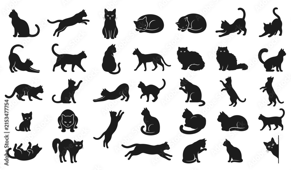 Fototapeta premium Collection of Black Cat Silhouettes in Various Feline Poses and Positions Vector Set
