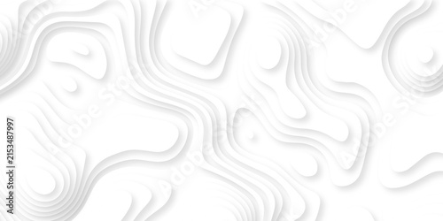 Contour map white line terrain curves white paper cut layers design. Topographic map background geographic line map. White wave paper curved reliefs landscape. 