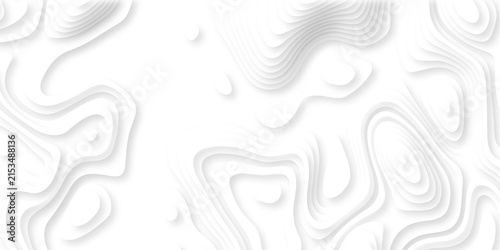 Fotografía Contour map white line terrain curves white paper cut layers design