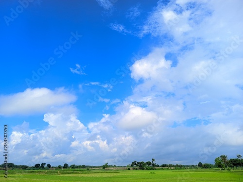 Cuadro en lienzo Wide Landscape of Blue Sky and Green Fields with Clouds