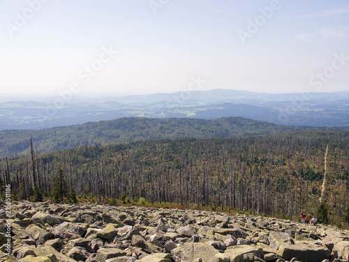 Obraz na plátně Himmelsleiter im Bayerischen Wald
