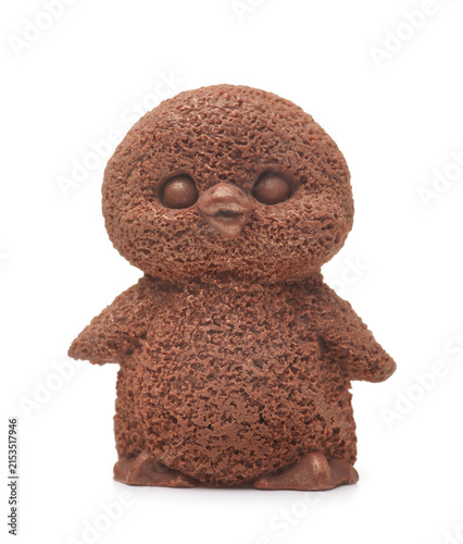 Cute chocolate penguin chick