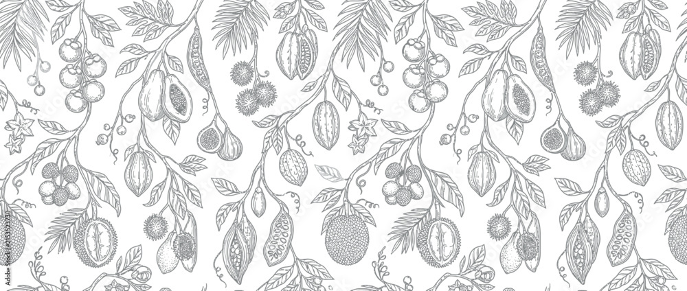 Fototapeta premium Botanical illustration of exotic fruits and leaves on transparent background.