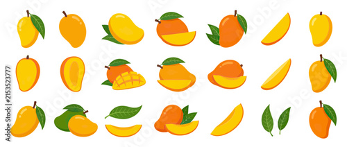 Collection of Isolated Mango Fruits and Slices