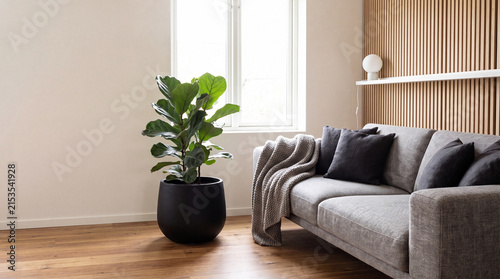 Modern living room interior featuring a gray sofa, decorative pillows, and a large potted plant beside a window with natural light
