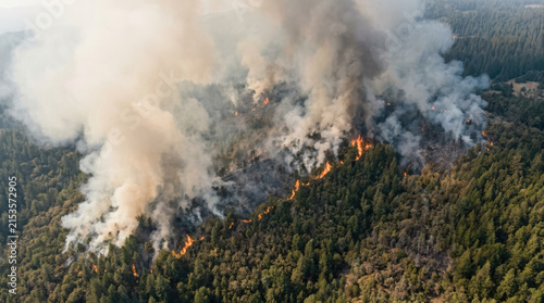 Forest fire wildfire smoke flame aerial mountain woodland disaster climate environment burning forest spreads across mountain ridge with thick smoke plume, aerial drone view of wildfire disaster