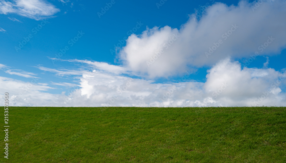 Obraz premium Peaceful grassland extends toward the horizon. White clouds frame the peaceful countryside. Peaceful scenery encourages meditation and wellness. Fresh air makes nature peaceful.