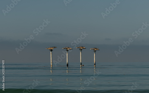 Scenic vista of old piling relics off the Pacific coast in Goleta, Santa Barbara County, Southern California 