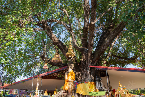 THAILAND MAHA SARAKHAM WAT PHUTTHA MONGKOL BUDDHA