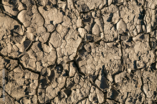 Принти на полотні Close-up of severely parched, dry soil covered in a dense network of polygonal cracks caused by intense evaporation and prolonged lack of moisture