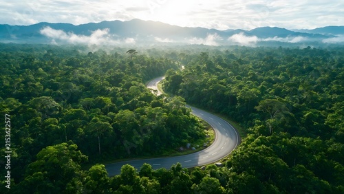 Winding two-lane road cutting through dense tropical rainforest canopy above. Aerial nature concept