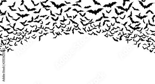 Fotografie Halloween bat swarm vector illustration, flying black bats silhouette border, sp