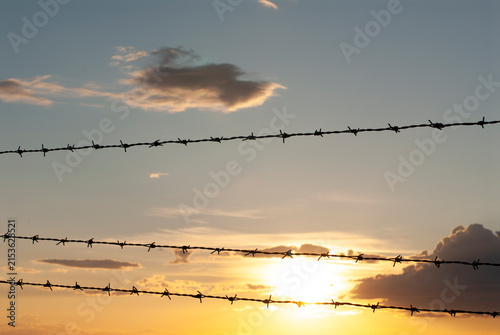 Filo spinato al tramonto con cielo dorato