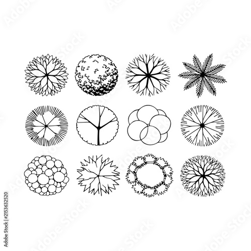CAD Trees Top View Set – Landscape Design and Architectural Elements vector
