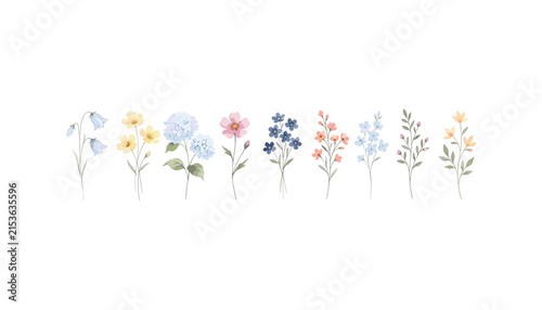 Set of cute watercolor botanical vector wild flowers and blooming plant branches illustration elements