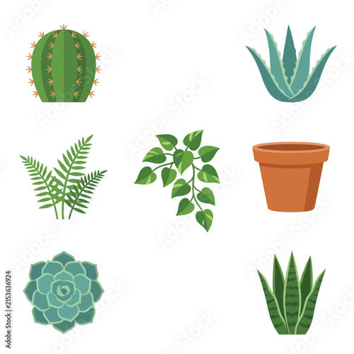 Houseplants arranged in a collection showing various green indoor potted plants including a cactus, succulent, fern, and leafy vine.