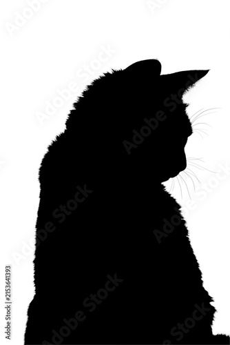 Black cat silhouette side profile isolated on white background looking down