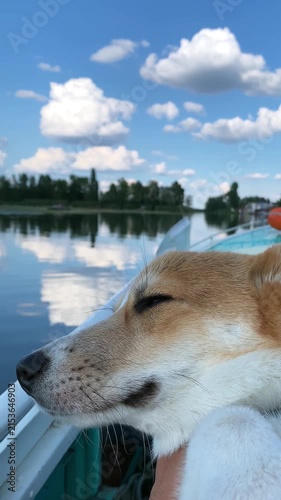 Corgi dog on boat with owner during fishing trip, highlighting companionship, trust, and joyful bond between human and pet. Vertical video.