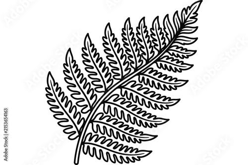 Simple line art illustration of a single fern leaf.