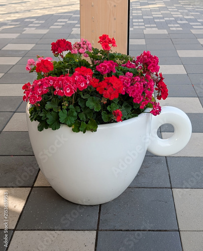 Red geranium flowers blooming inside a large white coffee cup shaped planter outdoors