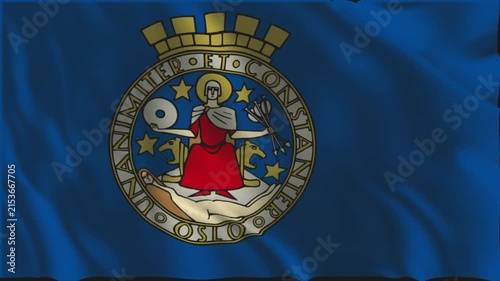 Flag of Oslo waving slowly in the foreground.