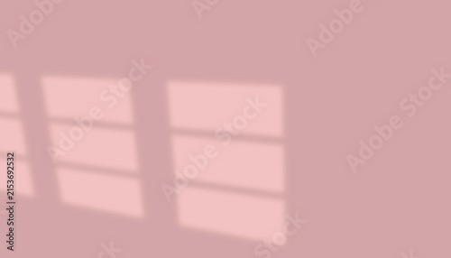 Minimal Window Light Shadow on Dusty Pink Background with Soft Abstract Geometry