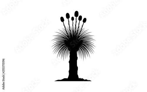 Palm tree silhouette against a white background a tropical botanical illustration