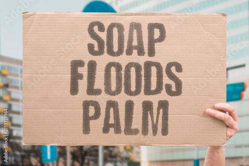 Bild auf Leinwand "Soap Floods Palm" The dispenser releases way more soap than one wash needs