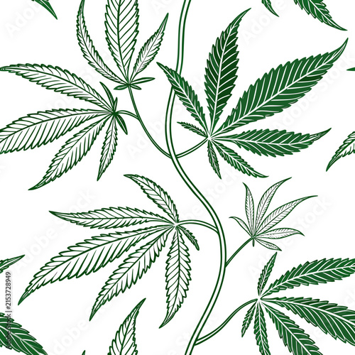 Seamless pattern of hemp cannabis leaf botanical illustration