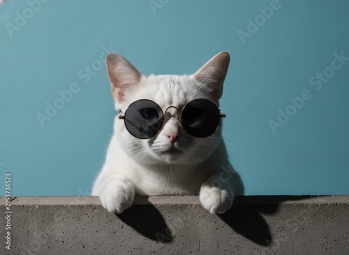 Cool white cat wearing round sunglasses peeking over a concrete ledge against a blue background, concept of coolness and pet humor