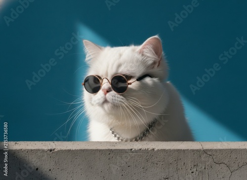 Cool white Persian cat wearing round sunglasses and a silver chain collar, looking relaxed against a blue background, concept of coolness and pet humor