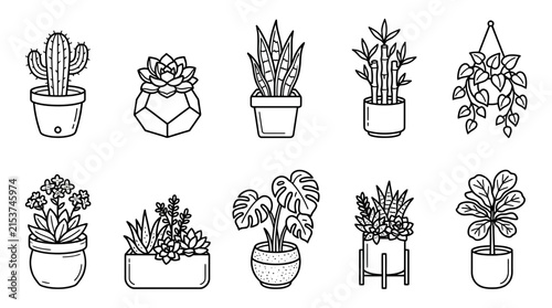Set of indoor house plants in pots, vector illustration of various botanical home decorations